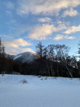 白樺高原国際スキー場に投稿された画像（2025/1/2）