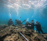 本部ダイビングショップTI.OCEANに投稿された画像（2025/1/2）