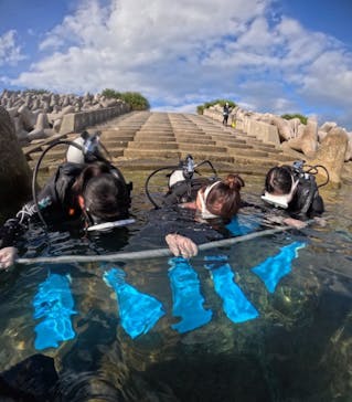 本部ダイビングショップTI.OCEANに投稿された画像（2025/1/2）