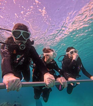 本部ダイビングショップTI.OCEANに投稿された画像（2025/1/2）