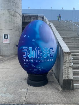 大分マリーンパレス水族館 「うみたまご」に投稿された画像（2025/1/2）
