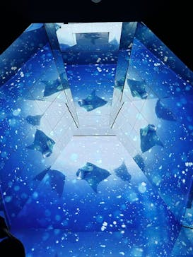 Little universe OKINAWAに投稿された画像（2025/1/2）