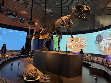 国立科学博物館に投稿された画像（2025/1/2）