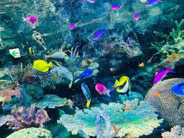 サンシャイン水族館に投稿された画像（2025/1/2）