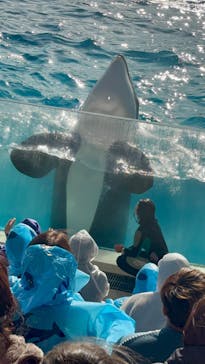 鴨川シーワールドに投稿された画像（2025/1/2）