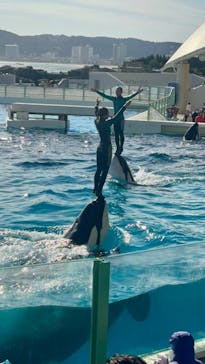 鴨川シーワールドに投稿された画像（2025/1/2）