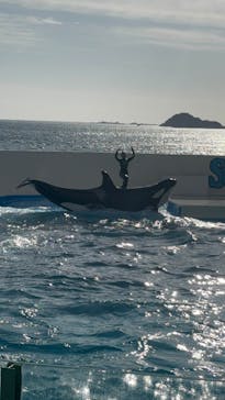 鴨川シーワールドに投稿された画像（2025/1/2）