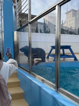 竹島水族館に投稿された画像（2025/1/2）