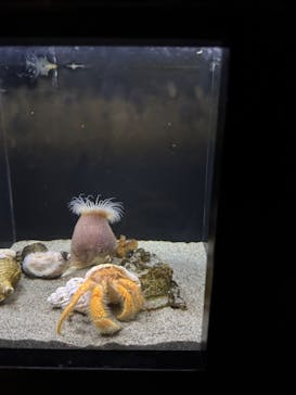 竹島水族館に投稿された画像（2025/1/2）