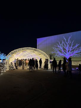 東京メガイルミに投稿された画像（2025/1/2）