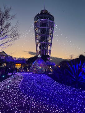 江の島シーキャンドルに投稿された画像（2025/1/2）