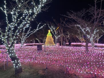 みろくの里に投稿された画像（2025/1/2）