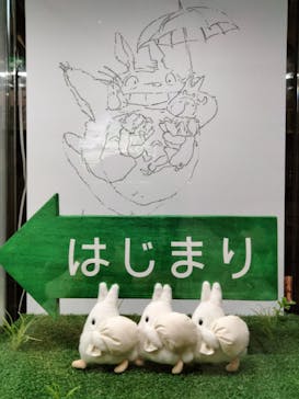 伊豆テディベア・ミュージアムに投稿された画像（2025/1/2）