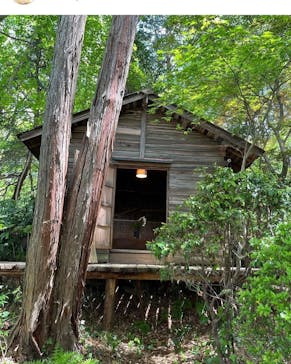 東京国立博物館に投稿された画像（2025/1/2）