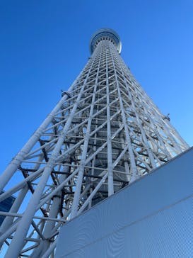 すみだ水族館に投稿された画像（2025/1/2）