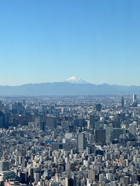 すみだ水族館に投稿された画像（2025/1/2）