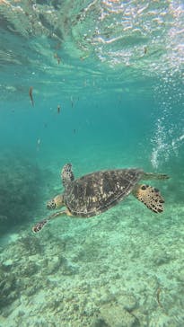  マリンショップHAPPYに投稿された画像（2025/1/2）