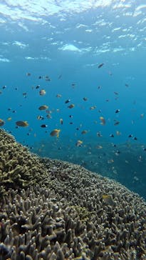  マリンショップHAPPYに投稿された画像（2025/1/2）