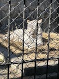 東武動物公園に投稿された画像（2025/1/3）
