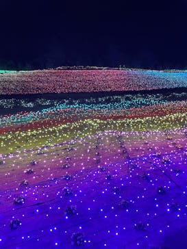 東武動物公園に投稿された画像（2025/1/2）