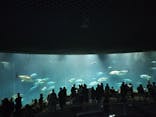 葛西臨海水族園に投稿された画像（2025/1/3）