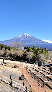 まかいの牧場に投稿された画像（2025/1/3）