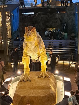 福井県立恐竜博物館に投稿された画像（2025/1/3）