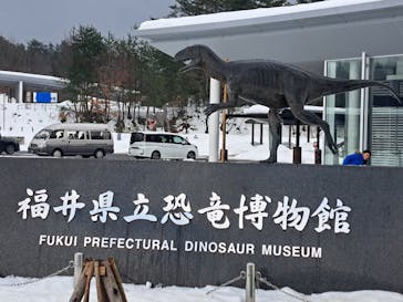 福井県立恐竜博物館に投稿された画像（2025/1/3）