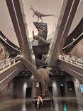 福井県立恐竜博物館に投稿された画像（2025/1/3）