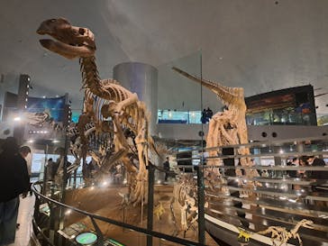 福井県立恐竜博物館に投稿された画像（2025/1/3）
