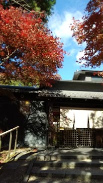 上方温泉 一休 京都本館に投稿された画像（2025/1/3）