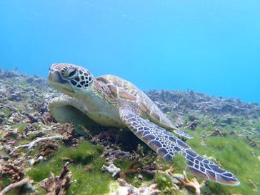 nico 宮古島に投稿された画像（2025/1/3）