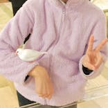 いきもの探検隊湘南に投稿された画像（2025/1/3）