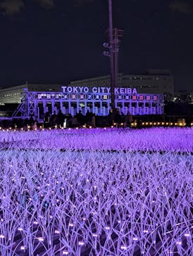 東京メガイルミに投稿された画像（2025/1/3）