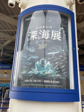 新江ノ島水族館に投稿された画像（2025/1/3）