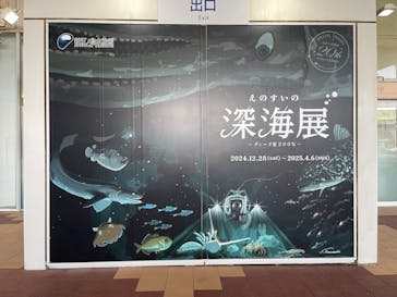 新江ノ島水族館に投稿された画像（2025/1/3）