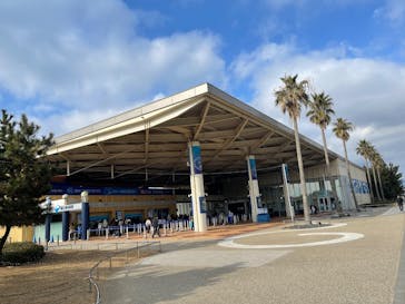 新江ノ島水族館に投稿された画像（2025/1/3）