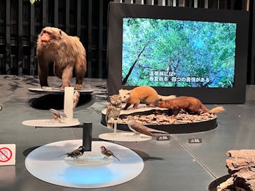 国立科学博物館に投稿された画像（2025/1/3）