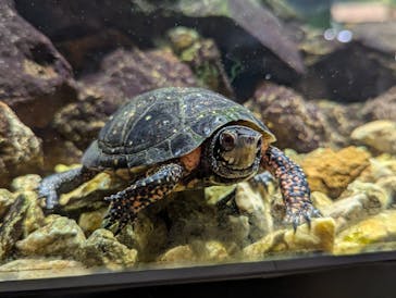 体感型動物園iZooに投稿された画像（2025/1/3）