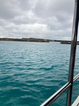 イラブルーツアーズに投稿された画像（2025/1/3）