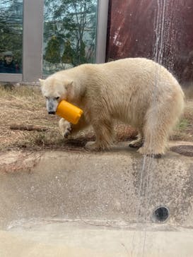 恩賜上野動物園に投稿された画像（2025/1/3）