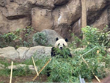 恩賜上野動物園に投稿された画像（2025/1/3）