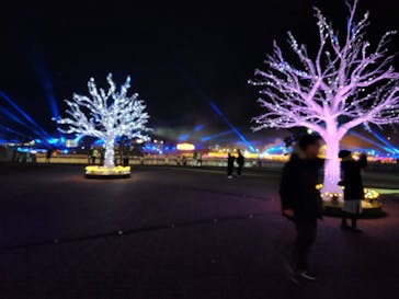 東京メガイルミに投稿された画像（2025/1/3）