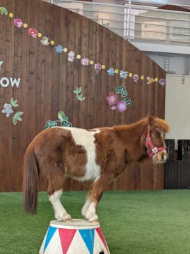 ノーザンホースパークに投稿された画像（2025/1/3）