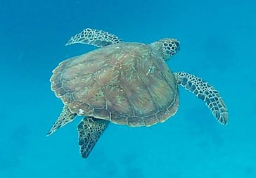 JAM（ジャム）マリンクラブに投稿された画像（2025/1/3）