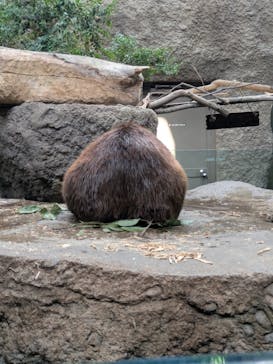 神戸どうぶつ王国に投稿された画像（2025/1/3）