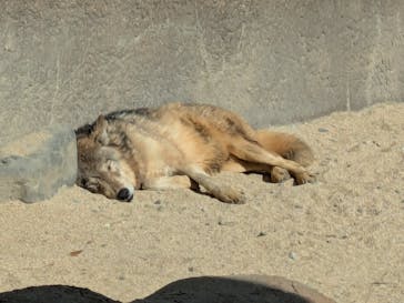 神戸どうぶつ王国に投稿された画像（2025/1/3）