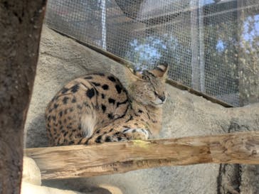 神戸どうぶつ王国に投稿された画像（2025/1/3）