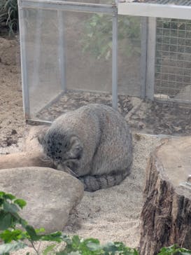 神戸どうぶつ王国に投稿された画像（2025/1/3）