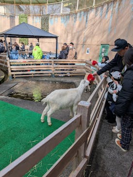 おさるランド＆アニタウン　日光さる軍団劇場に投稿された画像（2025/1/3）